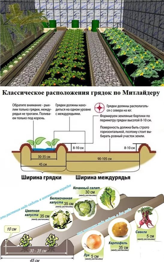 Как лучше расположить грядки на огороде относительно сторон света схема