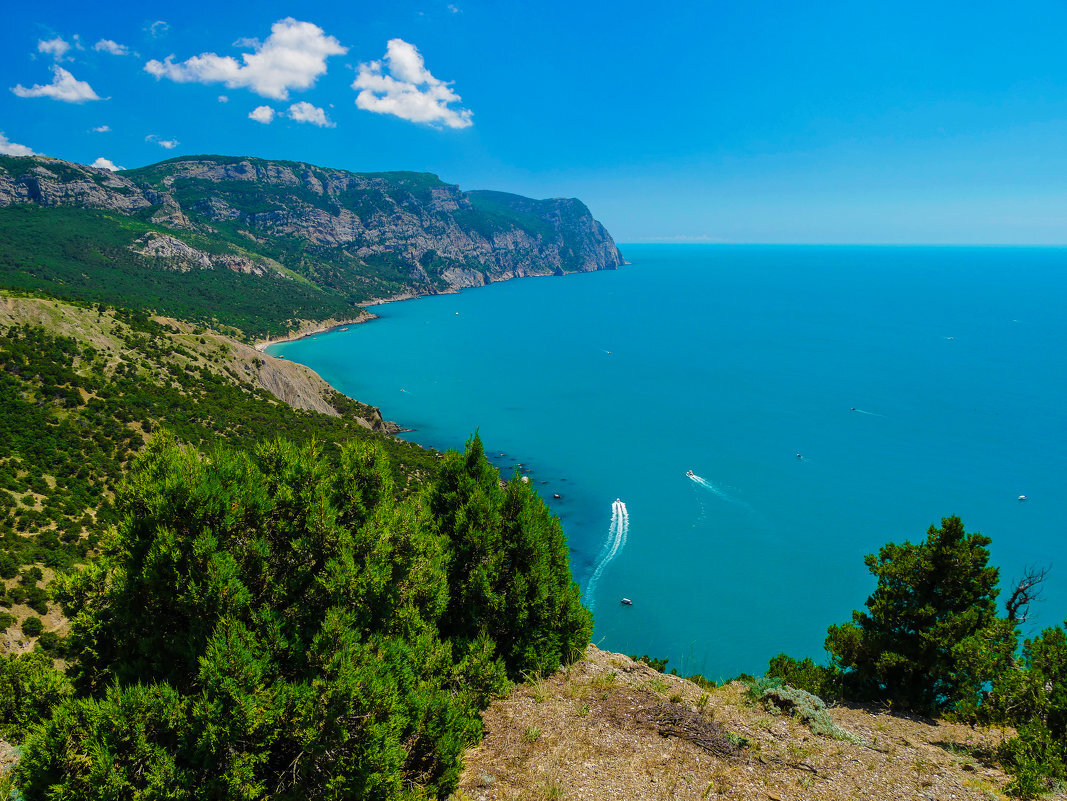 Ссылка на фото