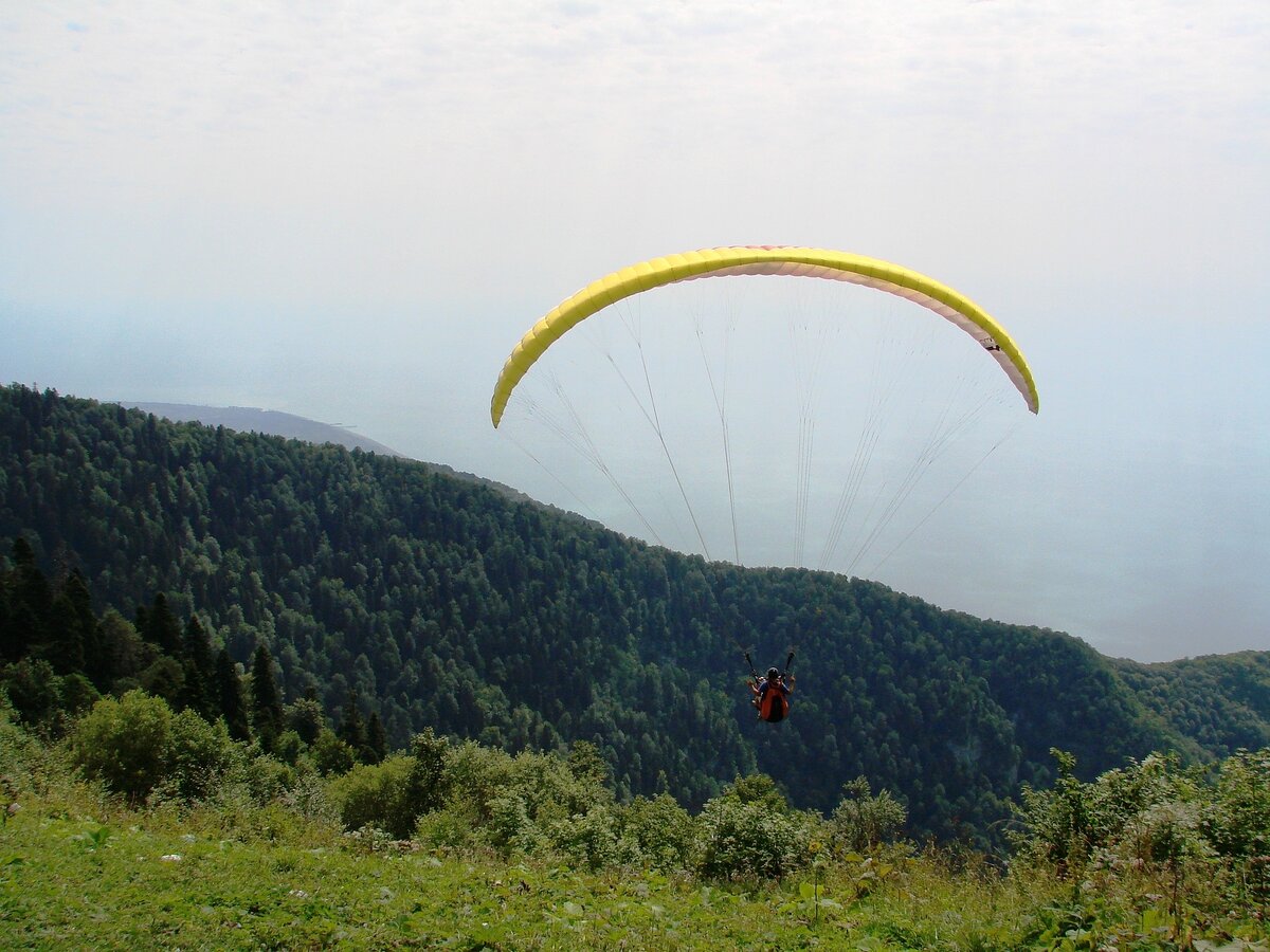 Парапланы в Гаграх