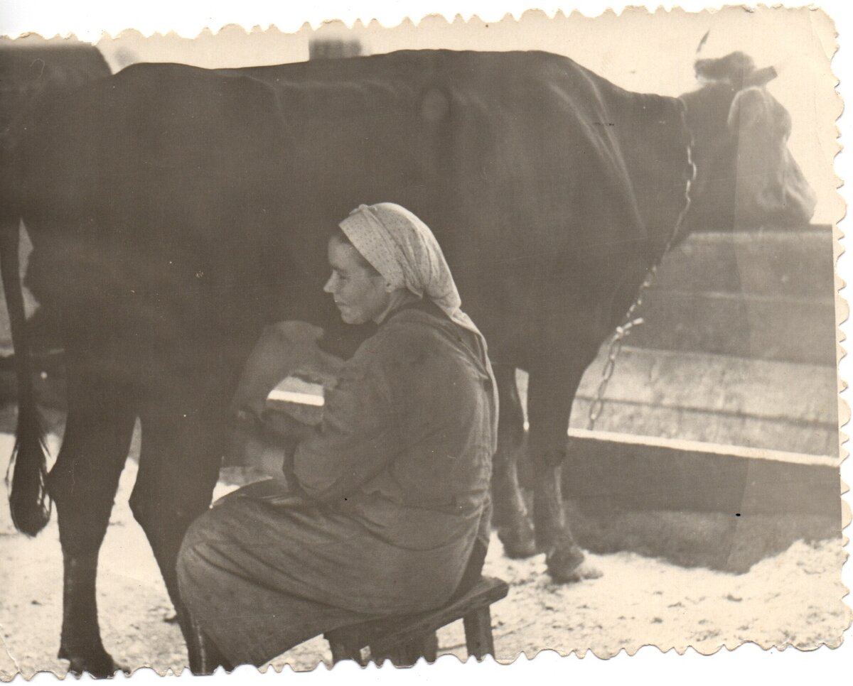 Нина Михайловна трудовые будни 1962 год. 