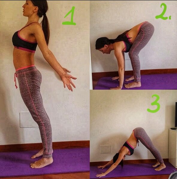 Поза йоги: собака мордой вверх