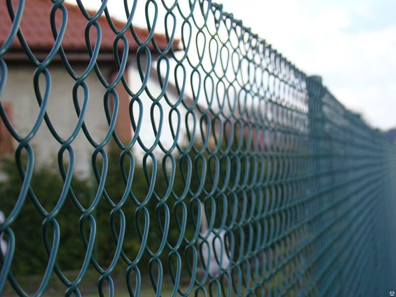 Фотография с сервиса Яндекс картинки.