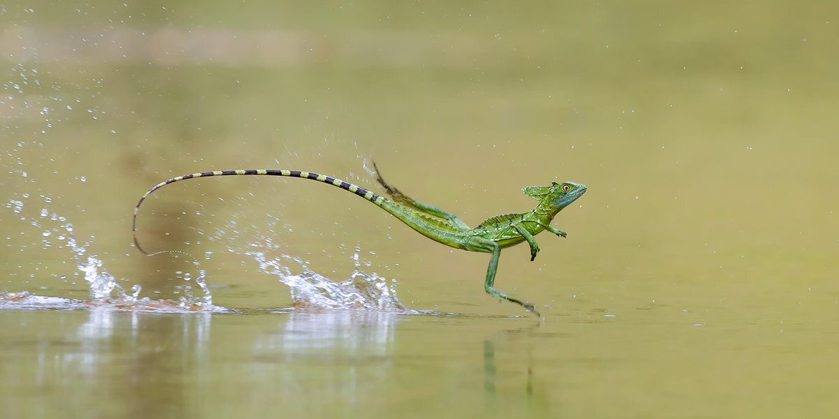 Привет! Как рыбалка, Андрей?