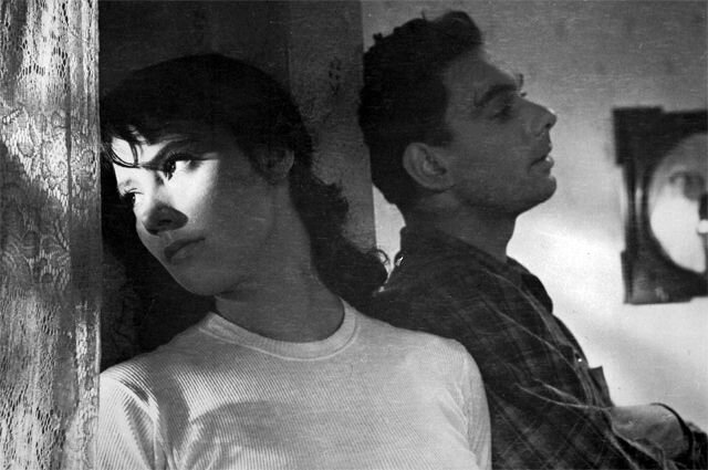 Летят журавли