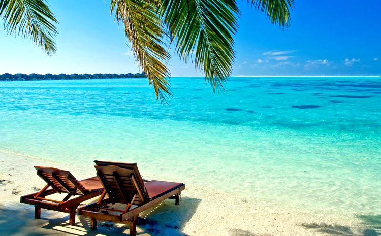 Из Яндекс картинок   