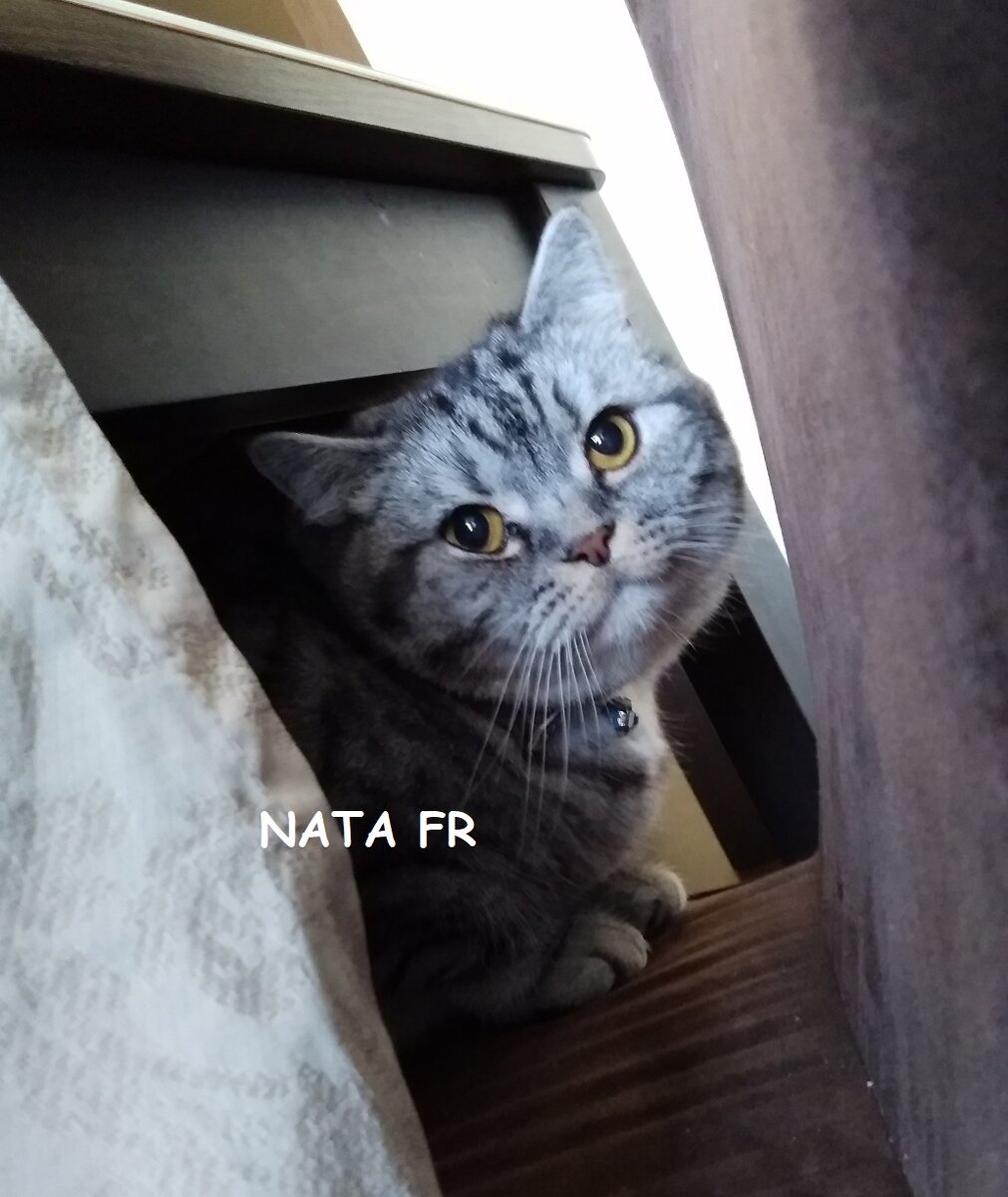 "Ну не смущайте меня!" Личное фото