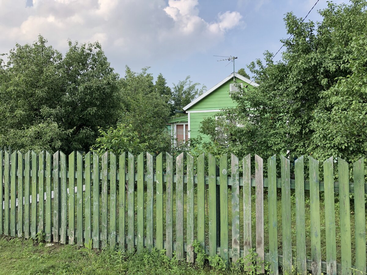 Дача моей соседки