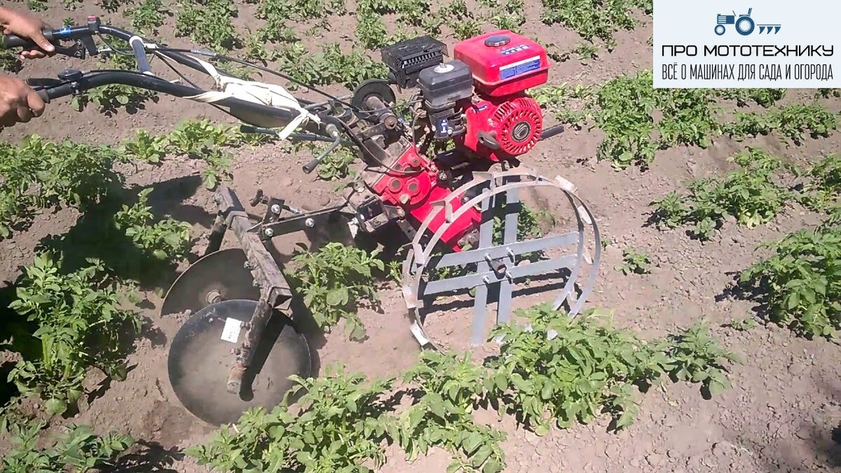 Окучник окучивать картошку. Окучиватель картофеля амжк. Мотоблок мб1 окучивание. Ручной дисковый окучник для картофеля своими руками чертежи. Окучиватель прополка картофеля.