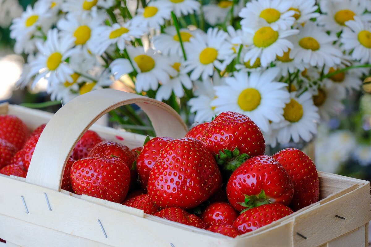Фото: Pixabay.com
