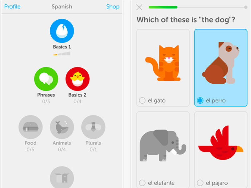 Сайт английского duolingo. Duolingo приложение. Duolingo скрины. Картинка приложения Duolingo. Duolingo игрушка.