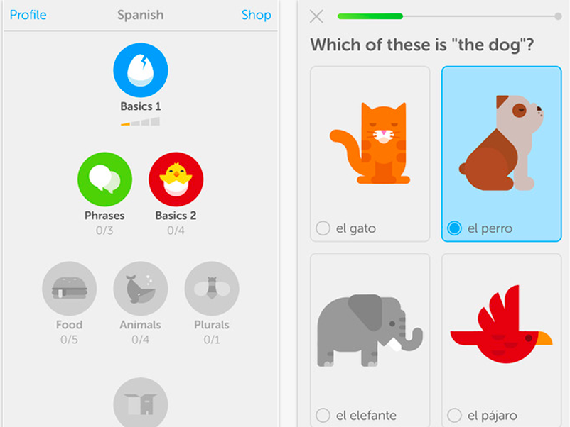 Дуолинго скрины. Duolingo приложение. Duolingo игрушка. Картинка приложения Duolingo.