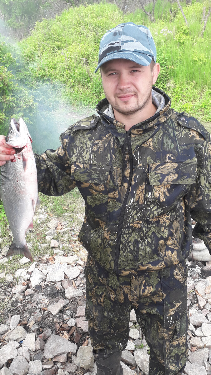 Речная ловля симы

Сима, или мазу (по-японски это значит «вишневый лосось») — это самый «тепловодный» представитель семейства тихоокеанских лососей, который водится исключительно на азиатском побережье и близлежащих крупных островах Тихого Океана, и никогда на встречается на североамериканских берегах.

Эта рыба достигает в длину 60 см (иногда немного более) и веса в 6-6,5 кг. Является очень ценным промысловым видом. «Вишневый лосось» считается более ценным, чем другие виды красной рыбы, такие как горбуша или семга.

Водится он в Японском и южной части Охотского моря, а также в реках крупных островов — от японского Хонсю до русского Сахалина. Встречается в речных бассейнах материка, в основном в Приморском крае, а также на Южной Камчатке.

Существует 2 формы симы: проходная и жилая. Проходная, подобно большинству лососей, живет в море, заходя в реки лишь на период нереста. Жилая — пресноводный подвид, местные жители зовут ее «пеструшкой» или «подкаменкой». Она примерно в 2-3 раза  мельче проходной формы симы — морского обитателя. Считается, что это молодые особи того же самого вида, которые не уходят в море, а остаются жить в реке. В пресной воде сима может жить до 2 лет.

Сима

Законность ловли

Как и другие виды лососей, сима — промысловый вид, но правила отлова ее строго отрегулированы. Промышленный вылов осуществляется только в море и только той рыбы, что идет к берегу на нерест. Особенности ловли в приморских и сахалинских реках по российскому законодательству (с учетом норм закона № 166-ФЗ, так называемого «Закона о рыбалке») таковы:

ловля речной симы, т. н. «пеструшки» запрещена абсолютно. Это браконьерство;вылов вишневого лосося, идущего на нерест, разрешен свободно, но только на определенных участках рек и только в течение определенного периода, который каждый год устанавливает заново Комиссия по регулированию добычи анадромных видов рыб. Для каждого района этот период свой — все зависит от скорости потепления воды и воздуха. Ловля сетями без лицензии запрещена;лицам, имеющим именное разрешение рыболова (в обиходе — «лицензию»), разрешен вылов разных видов лосося, в том числе симы (а также тайменя, крабов и т. д.), вне рыболовных участков, а также с использованием сетей, но только однорядных и без крючков;на вылов каждый год устанавливается квота по тоннажу. Для представителей коренных малочисленных народов квоты по вылову другие, как правило, выше, чем для рыболов-любителей общей, «спортивной» направленности. В среднем норма вылова — примерно 5 кг в день на человека. Устанавливаются также «проходные» дни, когда мазу может проходить рыболовные участки свободно, следуя к нерестилищам. В эти дни ловить ее даже на удочку нельзя. Обычно это понедельник и вторник.

Стоимость именного удостоверения рыболова — около 200 рублей.

Выбор времени и места

Для рыболова-любителя, не имеющего разрешения, к сожалению, свобода выбора места ловли и времени ограничена. Рыболовные участки для легального вылова без лицензии бывают сильно ограничены в размерах, и на них может присутствовать одновременно несколько десятков 

В среднем лов вишневого лосося (в зависимости от района) открывается 15 мая — 1 июня (в Приморье, на широте Хабаровска), но комиссия может сдвигать время открытия в зависимости от погодно-климатических условий. Нерест у симы проходит, как правило, с апреля по июль в Приморье, с июля по сентябрь — на Камчатке. В реки острова Сахалин мазу приходит где-то между этими временными интервалами.

Каких-либо особых рекомендаций по выбору места и времени ловли нет. Если у вас есть именное разрешение рыбака (являющееся документом строгой отчетности, так же, как охотничий билет), то вы можете ловить проходную симу в течение всего сезона. Ловля осуществляется обычно днем. Используемая тактика — примерно та же, что и при ужении других хищных рыб.

Как все лососи, сима — хищник, ее основная пища — ракообразные, а также молодь других рыб, в т.ч. родственных видов — горбуши, семги, кеты. В отличие от некоторых других лососевых мазу активно питается, когда идет на нерест (горбуша, например, не ест вообще ничего).

Когда вишневый лосось поднимается в реку, он предпочитает идти быстринами, переходя от одного укрытия к другому. Там его и надо ловить. Это могут быть места перепада глубин (выходы из ям), вымоины под крутыми, обрывистыми берегами, пороги и впадины в речном дне после них и прочие подобные места. Дополнительный фактор, играющий в пользу того, что в этом месте может быть сима — быстрое течение.

Рыбалка на симу — активное занятие, эта рыбка любит заставить рыбака повозиться.

Рыбалка на симу — активное занятие

Наживка и приманки

Какие наживки применяют при ловле симы? Как уже упоминалось выше, сима — хищник, хотя и не очень крупный. Поэтому она традиционно ловится на блесну, причем любую — вертящуюся либо «колебалку». Среди местных рыбаков пользуется популярностью S-образная колеблющаяся блесна, которая обычно выполняется из меди или латуни, но бывает и из серебристого металла (нержавейки) либо светлых сплавов. Блесна на симу может достигать в длину 10-14 см, часто бывает самодельной.

Есть большая разница в повадках морской, в т.ч. только недавно вошедшей в устье реки, и речной, т. е. длительное время находившейся в реке мазу. Вишневый лосось ближе остальных к общему предку всех лососей — форели или похожему на нее виду. Поэтому, во-первых, он питается в реке, даже в период, предшествующий посленерестовой гибели, а во-вторых, у него меняются повадки после захода в пресную воду. Близ моря мазу все еще ведет себя как хищник, атакует блесны и обычные лососевые приманки, особенно стримеры перламутрового или серебристого цвета. Но, двигаясь вверх по течению реки, «вспоминает» свои пресноводные повадки и начинает брать добычу с поверхности воды. Молодь симы часто питается упавшими в воду насекомыми — соответственно, взрослая нерестящаяся сима берет насадку-«муху». Но точно предсказать, что возьмет конкретно находящаяся в этом месте мазу, невозможно, поэтому при отсутствии клева целесообразно менять насадки: не берет на блесну, возьмет на «муху» и т. д.

Существует своеобразное ноу-хау, применяющееся практически только при ловле симы, реже — других лососевых рыб. Это тампоны из красной икры, в основном горбуши, кеты или кижуча. Некоторые рыбаки используют сырую икру, другие — вареную или соленую.

Сима хорошо клюет на тампоны из красной икры

На наживку для симы используется часть оставшейся с прошлогодней рыбалки икры, хранившаяся в холодильнике, хотя иногда удается поймать мазу или, как ни странно, красноперку на обычную соленую икру из магазина.

Небольшая порция (примерно величиной с ноготь большого пальца) икры заворачивается в капрон (например, от пришедших в негодность женских колготок) и оснащается крючком. Несколько икринок можно проколоть крючком — вещество, содержащееся в них, будет выделять в воду запах, на который хорошо идет сима. Эта ее особенность связана с каннибальскими повадками мазу, но на такие тампоны (некоторые рыбаки делают их из тонкой сетки) может ловиться и другая рыба — уже упоминавшаяся красноперка, кижуч и т. д.

Выбор снастей и процесс ловли

Снасти на симу используются столь же разнообразные, как разнообразны способы ее ловли. В море, особенно в бухтах, куда открываются устья рек, есть ловля симы на троллинг. Снасти для троллинга симы — спиннинг соответствующего теста, лучше «мягкий», леска-монофил и троллинговый шнур, наживка — колеблющиеся блесны, морской моллюск-октопус, различные стримеры-воблеры и т. д. Эта рыба отличается тем, что вкусы ее непредсказуемы.

В реке вишневого лосося ловят поплавочной удочкой впроводку, спиннингом, внахлыст, на бомбарду и т. д.

Для ловли впроводку снасть используется следующая:

удочка телескопического или штекерного типа, длиной 3-4,5 м;леска-монофил;поводок длиной около 1 м;яркий поплавок;грузило;крючки № 4-5.

Это самый простой, можно сказать, классический тип ловли. Он назван так оттого, что рыболов, забрасывая удочку, ждет, когда течением снесет поплавок и насадку на некоторое расстояние, потом подматывает леску, проводит удилищем с места на место, опять отпускает, и т. д. Впроводку удобно ловить преимущественно с берега, там, где есть пространство для размаха. Длину поводка, вес грузила и т. д. можно отрегулировать так, чтобы наживка шла у самой поверхности воды или, наоборот, погрузилась на дно.

Сима — не очень большая рыба, в среднем пойманные экземпляры весят 1,5-2 кг. Для них обычно используется удочка с тестом 7-15 г. Катушка рекомендуется достаточно тяжелая, например, классическая «Киевская»: вишневый лосось — сильная рыба, вываживать его тяжело. Крючки можно рекомендовать т. н. «самоподсекающие» — загнутые почти кольцом, они оставляют рыбе очень мало шансов на сход.

Иногда практикуется и ловля симы на бомбарду. Бомбарда, она же — итальянская снасть «сбирулино», отличается от других удочек прежде всего тем, что дает возможность очень далекого заброса с берега. Это может помочь в том случае, если у берега симы очевидно нет.

Типовая оснастка «бомбарды» на симу:

длинная, от 3 до 6,1 м, удочка. Строй — параболический, тестовая нагрузка — 40-60 г;катушка — безынерционная, с фрикционным тормозом, вмещающая НЕ МЕНЕЕ 100 м лески;леска-монофил (флюорокарбон) диаметром 0,25 мм. Плетенка при ловле мазу не рекомендуется — она не позволяет чувствовать рывки рыбы;поплавок-бомбарду, он же «сбирулино» — это крупный и достаточно тяжелый поплавок, массой примерно 40 г;поводок — отрезок более тонкой, чем основная, лески длиной от 1,4 до 2 м;вертлюг (чтоб не путалась леска);крючок из легированной стали, с длинным цевьем и хорошим «зацепом»;насадка — стример или «муха»;дополнительный поплавок (при необходимости).

Бомбарда, как правило, имитирует при ужении то, что происходит с упавшим в воду и тонущим насекомым. Делается глубокий заброс, после этого рыболов слегка подергивает самым кончиком удилища. Так как снасть очень длинная, то рывки будут почти полностью гаситься ею, и «мушка» на конце станет довольно слабо «биться в судорогах». Тип насадки, кстати, может быть разным — держащаяся на поверхности, тонущая очень медленно или, наоборот, быстро. Для ловли симы рекомендуется использовать первую или вторую.

Особую сложность для бомбардиста представляет заброс. Его нужно выполнять плавно и сильно, имея за спиной много свободного места, чтобы снасть не перепутывалась.

Вишневого лосося также часто ловят нахлыстом, это самый активный способ рыбалки. Нахлыстовики применяют обычную снасть для нахлыста — «золотой стандарт» этого вида ловли. Главное в этом деле — подобрать насадку, которую любит обитающая в этих местах мазу. Основное преимущество нахлыста — быстрая смена насадок.

Также можно ловить вишневого лосося самым обычным спиннингом средней весовой категории. Бывалые рыбаки рекомендуют «мягкий» спиннинг, потому что для симы свойственно поведение, которое надо тщательно контролировать. Жесткий спиннинг может даже не позволить вовремя заметить поклевку.

Клев и вываживание

Вишневый лосось отличается характерной поклевкой — он не уходит в глубину, не пытается сорваться на скорости, а делает сильные рывки, резко мотая головой, но при этом оставаясь на месте. Может пытаться уйти в глубину. Основная часть драйва при ловле любых лососевых рыб — это как раз вываживание, т. к. это сильные рыбы, отличающиеся большой «жаждой жизни». Дополнительным осложняющим фактором является то, что в реках, куда они заходят для нереста, чаще всего довольно сильное течение.

Сима не пытается сорваться на скорости, а делает сильные рывки, резко мотая головой, но при этом оставаясь на месте

Сима, как и горбуша, достаточно сильно бьется, порой выкидывая неожиданные коленца. Ее стоит медленно подтягивать к себе, ослабляя и утомляя. Не следует делать сильных рывков — может сорваться. Медленно подкручивайте катушку, лучше всего в такт с рывками рыбы. Если поблизости есть укрытие, мазу попытается забиться туда. Общая тактика такова: когда рыба движется в вашу сторону, позволяйте ей это, сматывая катушку. Как только попытается рвануть вбок или назад, в глубину — останавливайтесь, придерживая шпулю пальцем. При этом нельзя вести смотку катушки — сима настолько сильна, что может оборвать леску. Опытные рыбаки могут «разгонять» рыбу, направляя ее так, что она сама выскакивает на берег.

Нужно держать наготове подсак — строение симы таково, что ее очень трудно надежно взять за жабры или хвост. Подхватывать необходимо сачком.

