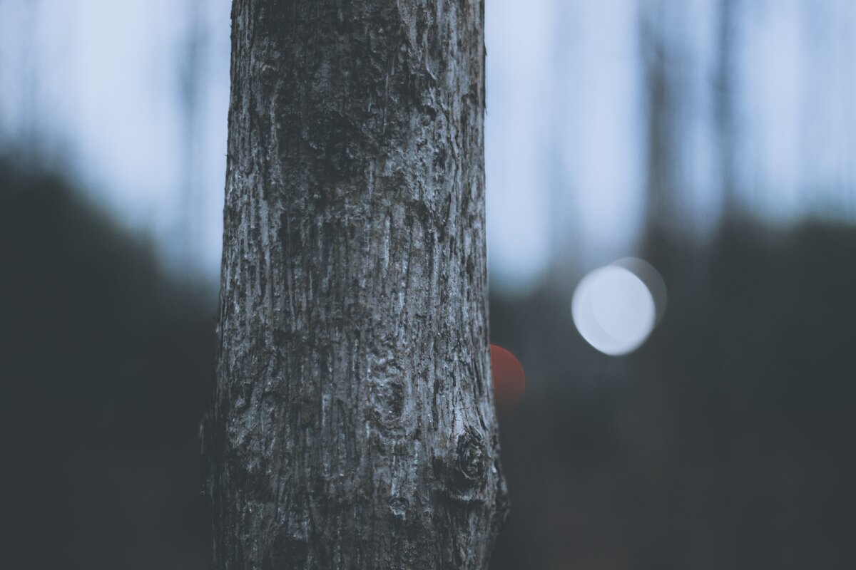photo: unsplash