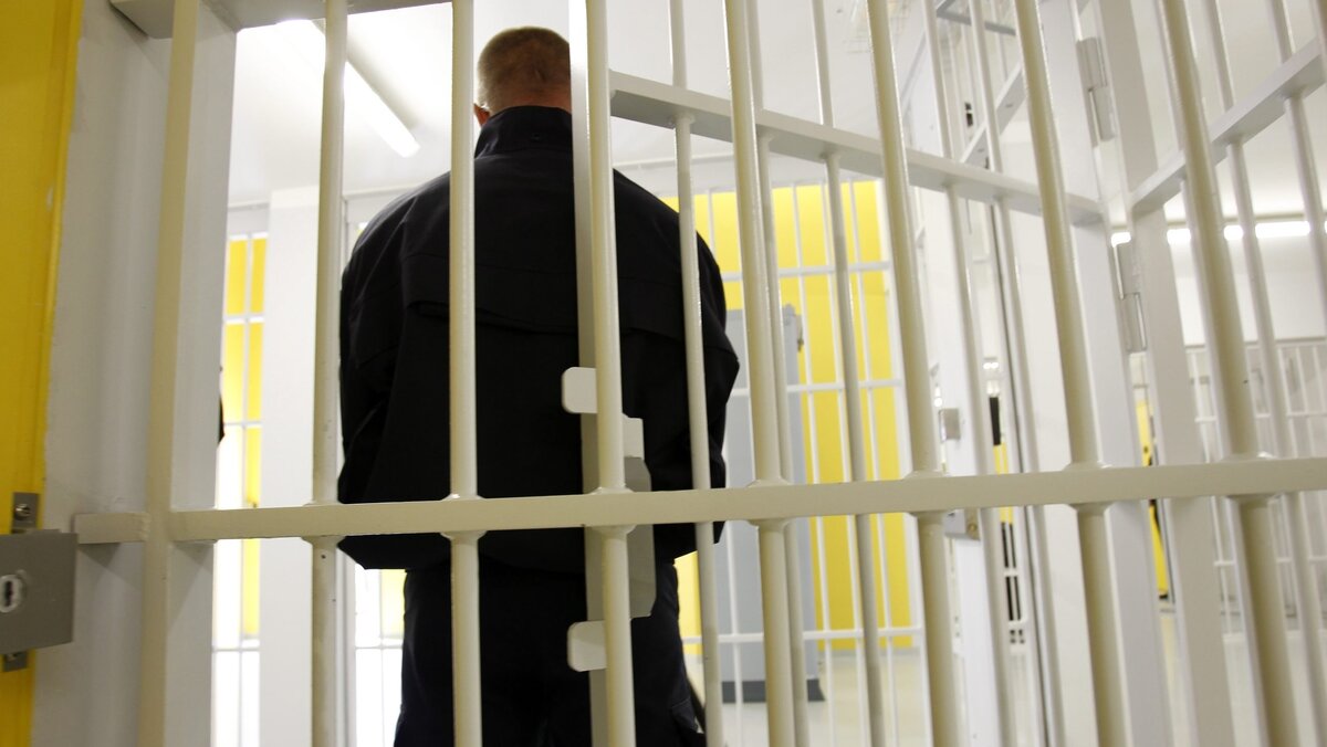 яндекс картинки