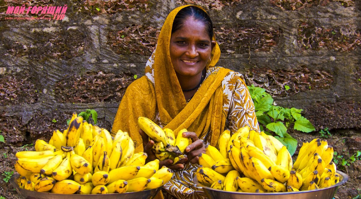 Мой горящий тур - знает о туризме все!
