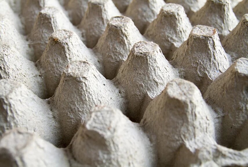 Фото: pixabay.com