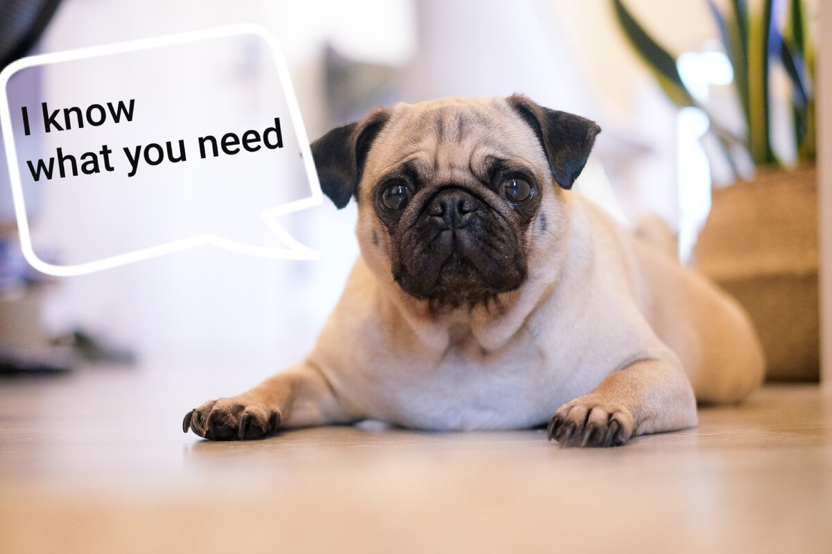 Frankie recommends you to watch the video by Ted-Ed