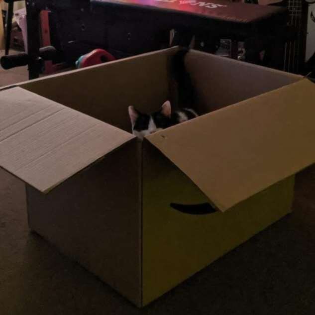 Фото: Твиттер Tracy King