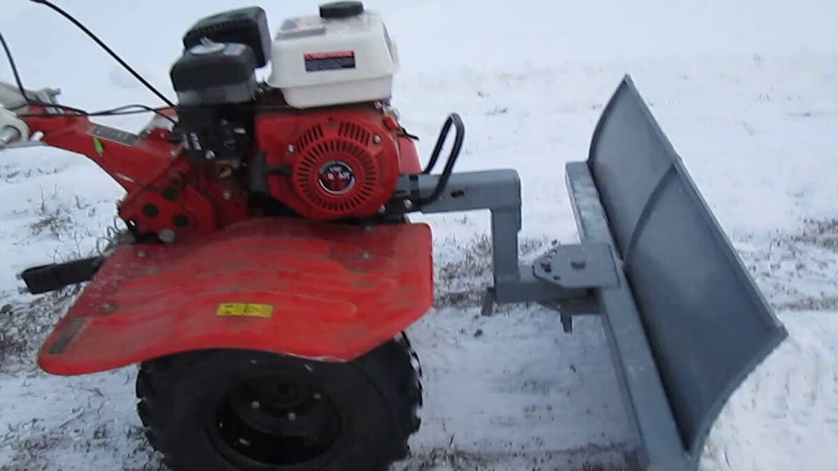 Фото из Яндекс Картинок