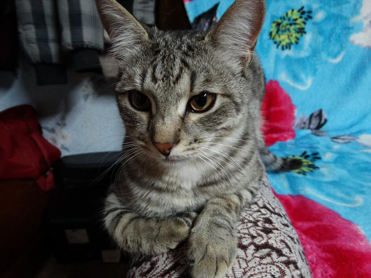 Фото автора