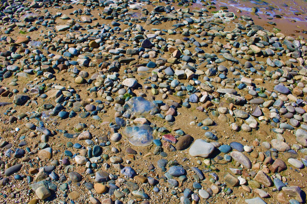 Широченный пляж в Ейске (Каменка), показываю какая сейчас обстановка – сентябрь 2020