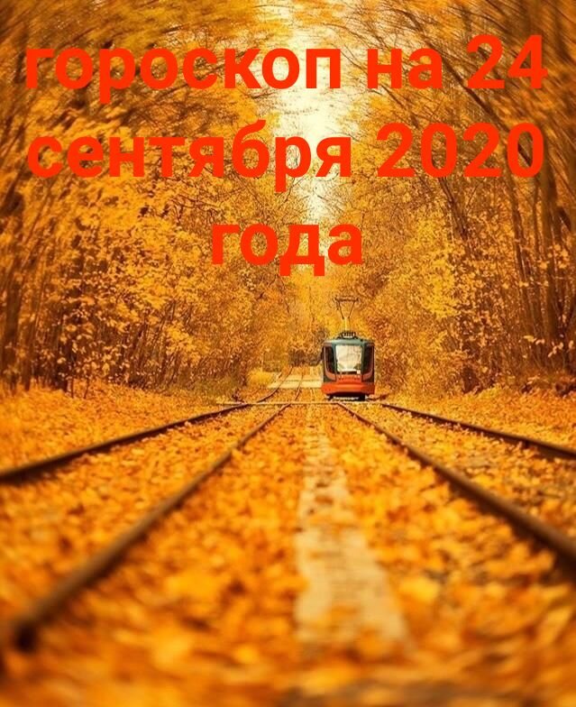 Если Вам понравится эта статья то пожалуйста оцените ее лайком 👍