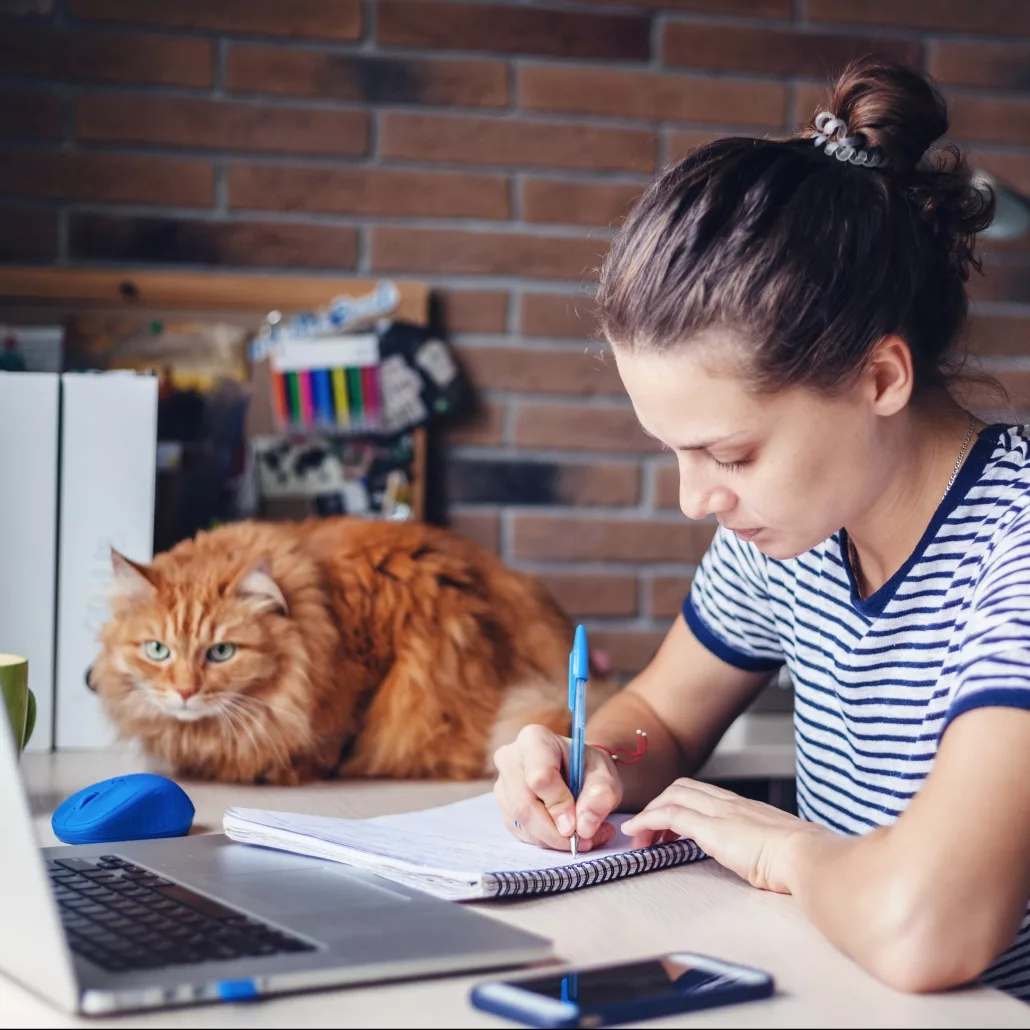 Няшный котик, не правда ли ;)