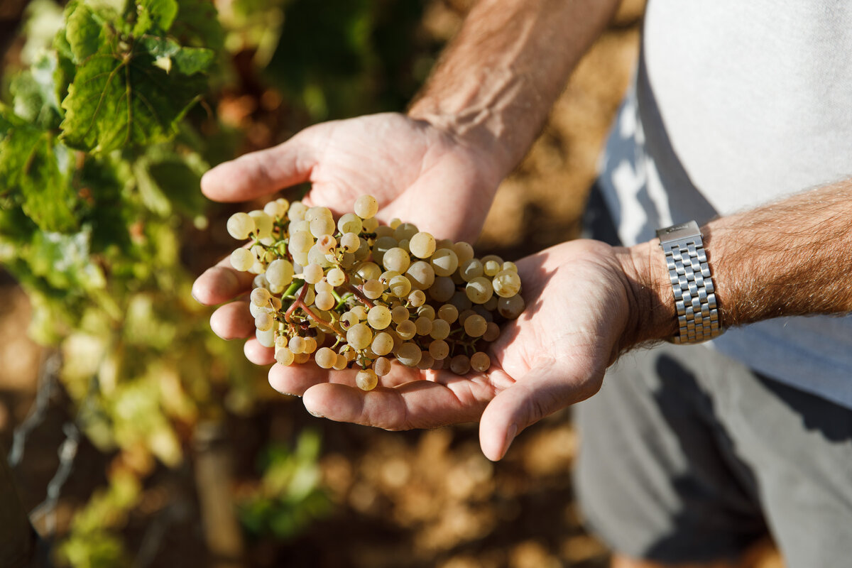 Фото: © Сергей Ратанов