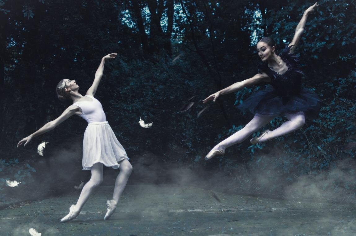 ЧЕРНЫЙ ЛЕБЕДЬ ПРОТИВ БЕЛОГО ЛЕБЕДЯ, ANNABELLA CALABRESE (IT)