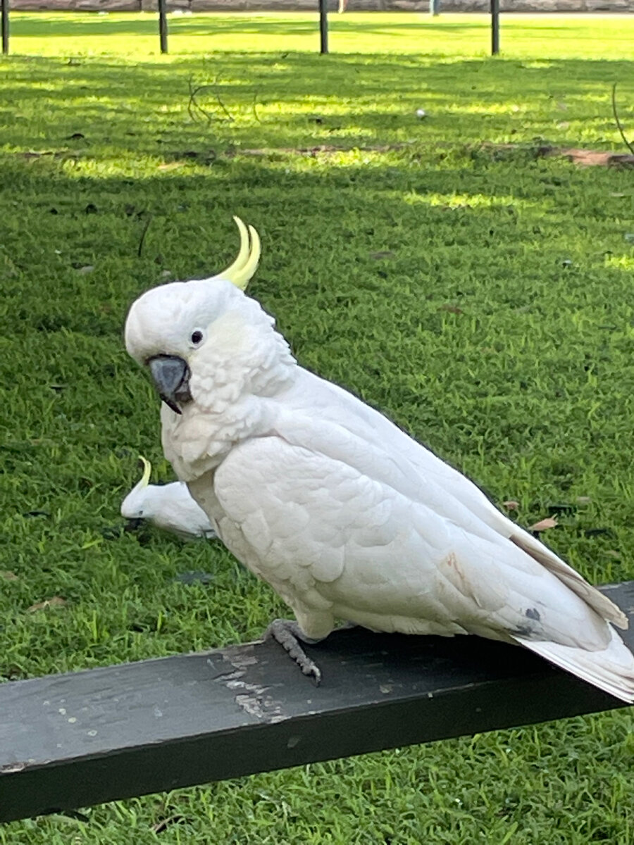Привет новая жизнь :)!