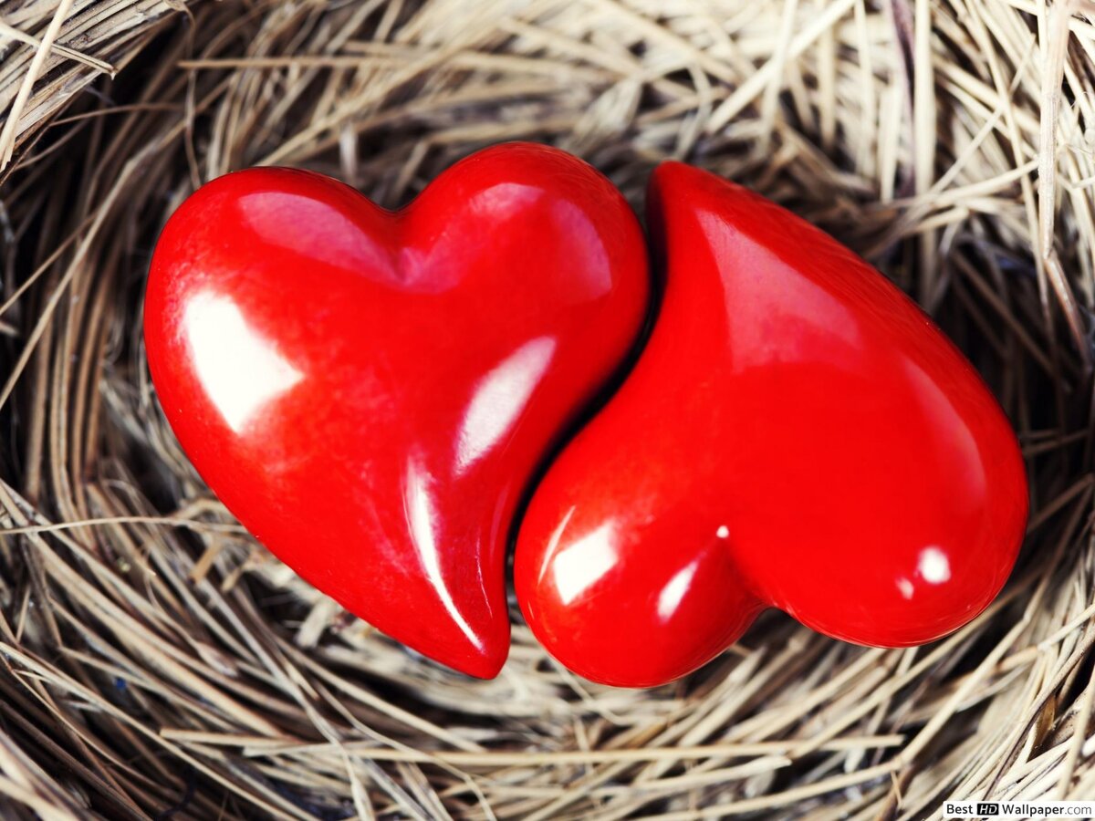 яндекс.картинки