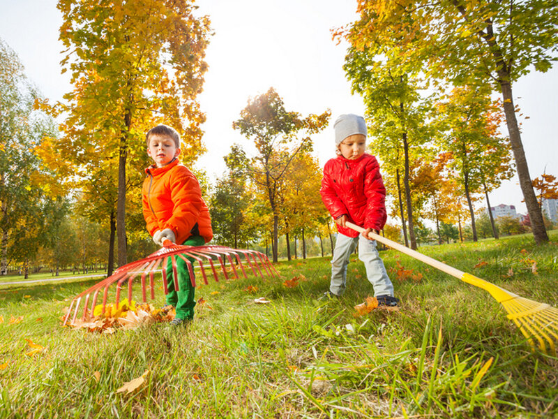 источник свободного доступа