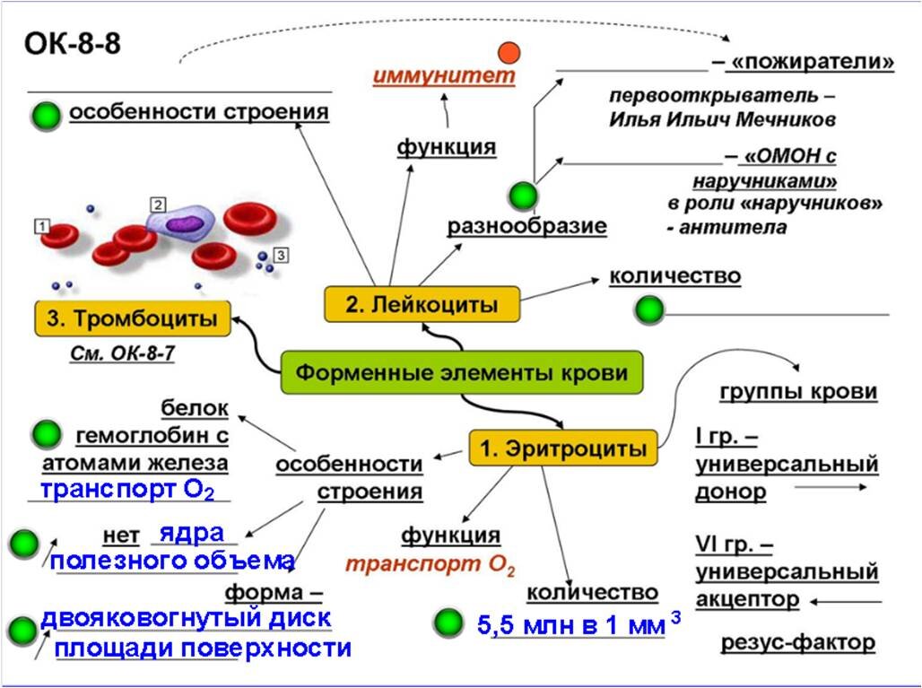 Тест по теме внутренняя среда организма