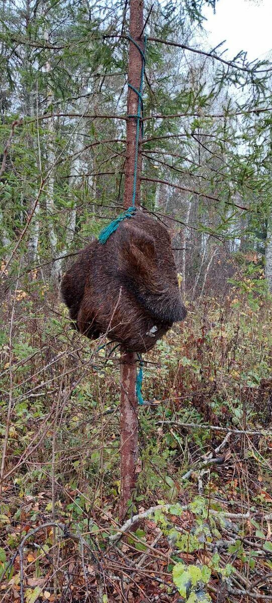 Добавьте описаниеДобавьте описание