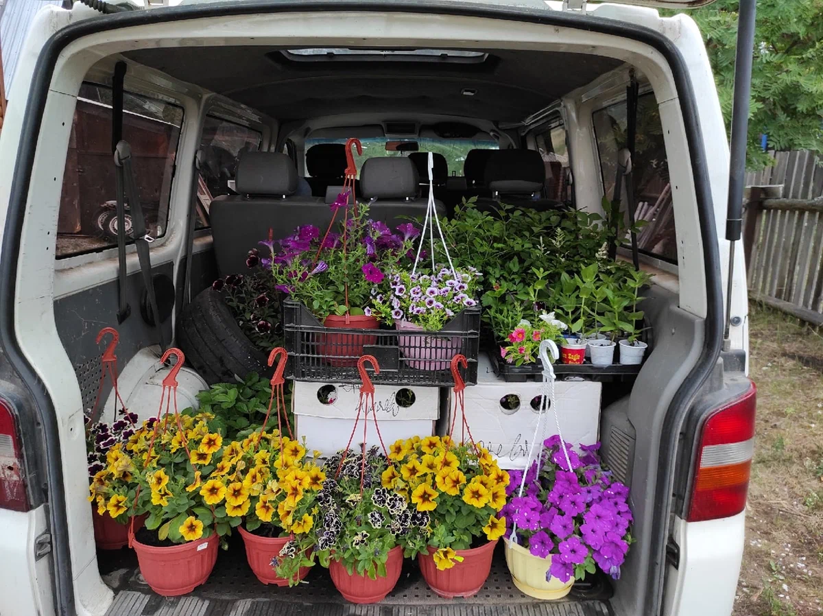 Сборы на рынок