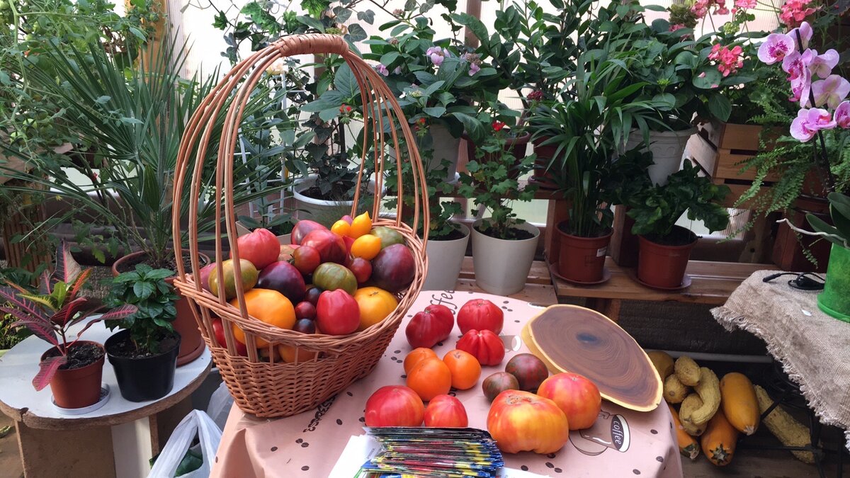 Немножко вкусных итогов моего урожая 2021. Для настроения и вдохновения)