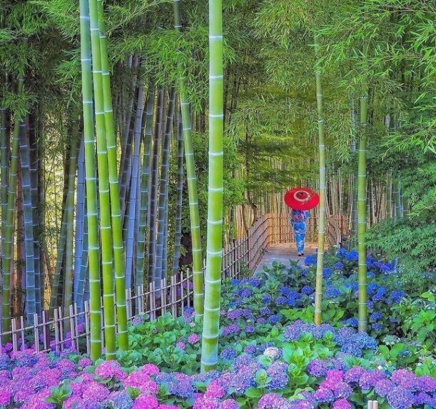 Осака, Ярония