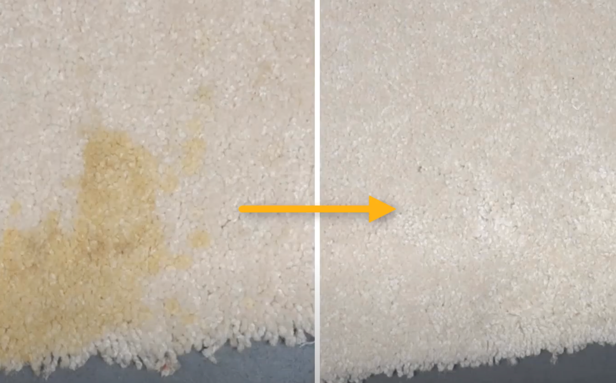 Удаление пятен и запаха мочи с ковра