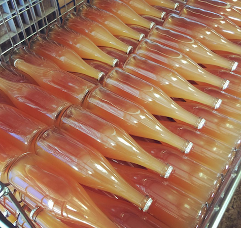 Уложенные петнаты. Фото из http://blog.lescaves.co.uk/2021/09/10/what-is-pet-nat/