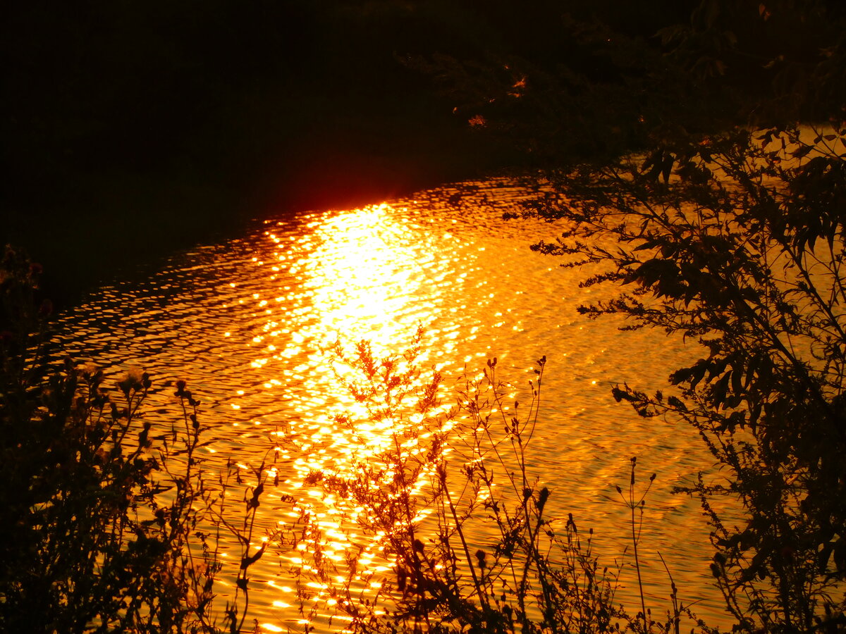 Фото автора канала