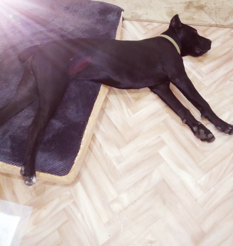 Наша красотка Николь))