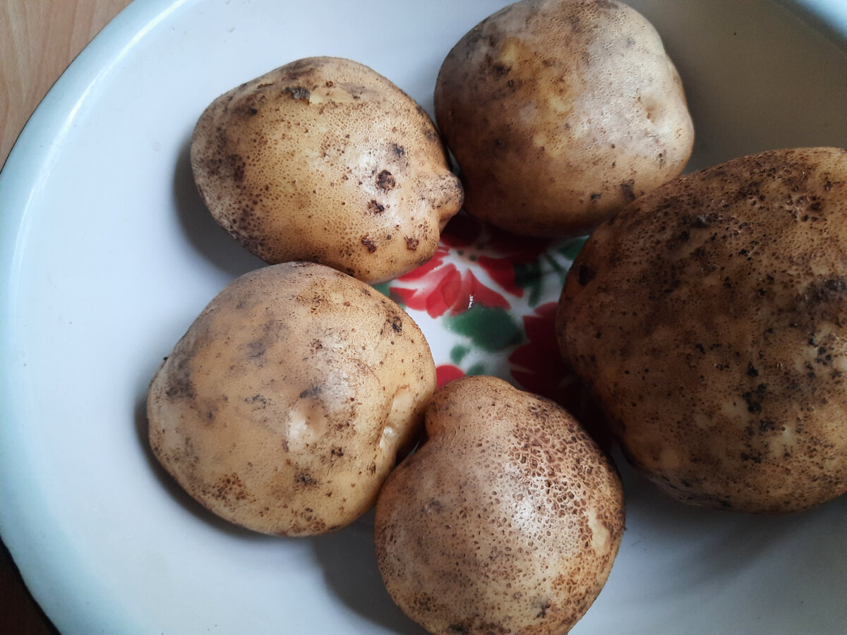 Картофель