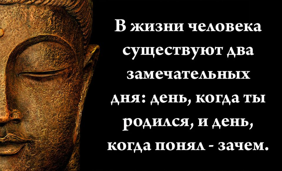 Цитаты о призвании человека. Предназначение цитаты. Цитаты о предназначении человека. Цитаты о миссии человека.