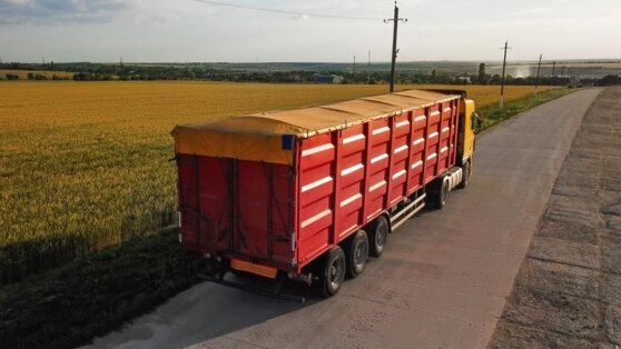    Венгрия может ввести запрет на ввоз 24 видов сельхозпродукции с Украины Дарья Смирнова