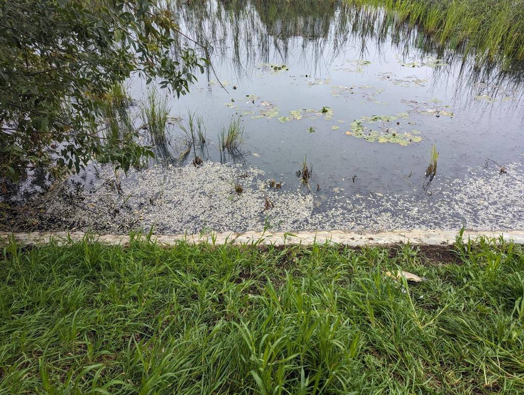 Фото: телеграм-канал прокуратуры г. Москвы