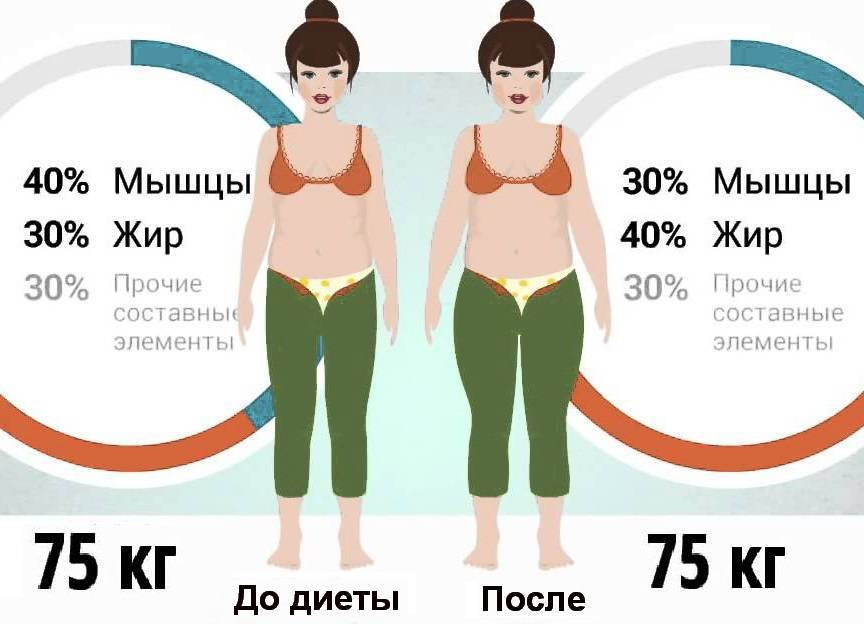 Соотношение жира и мышц. Вес жира и мышц. Соотношение веса жира и мышц.