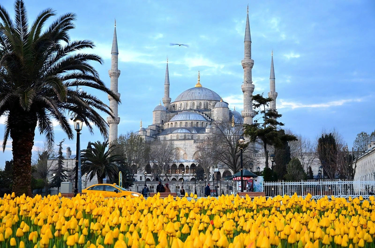 Стамбул. Фото из открытых источников Яндекс.Картинки