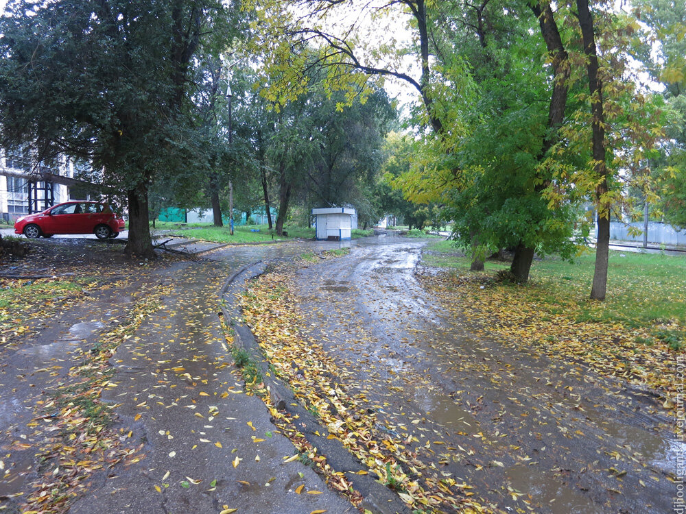 2013 год
