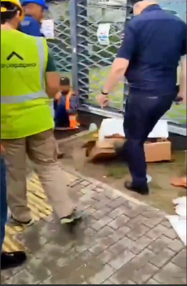 Скриншот видео
