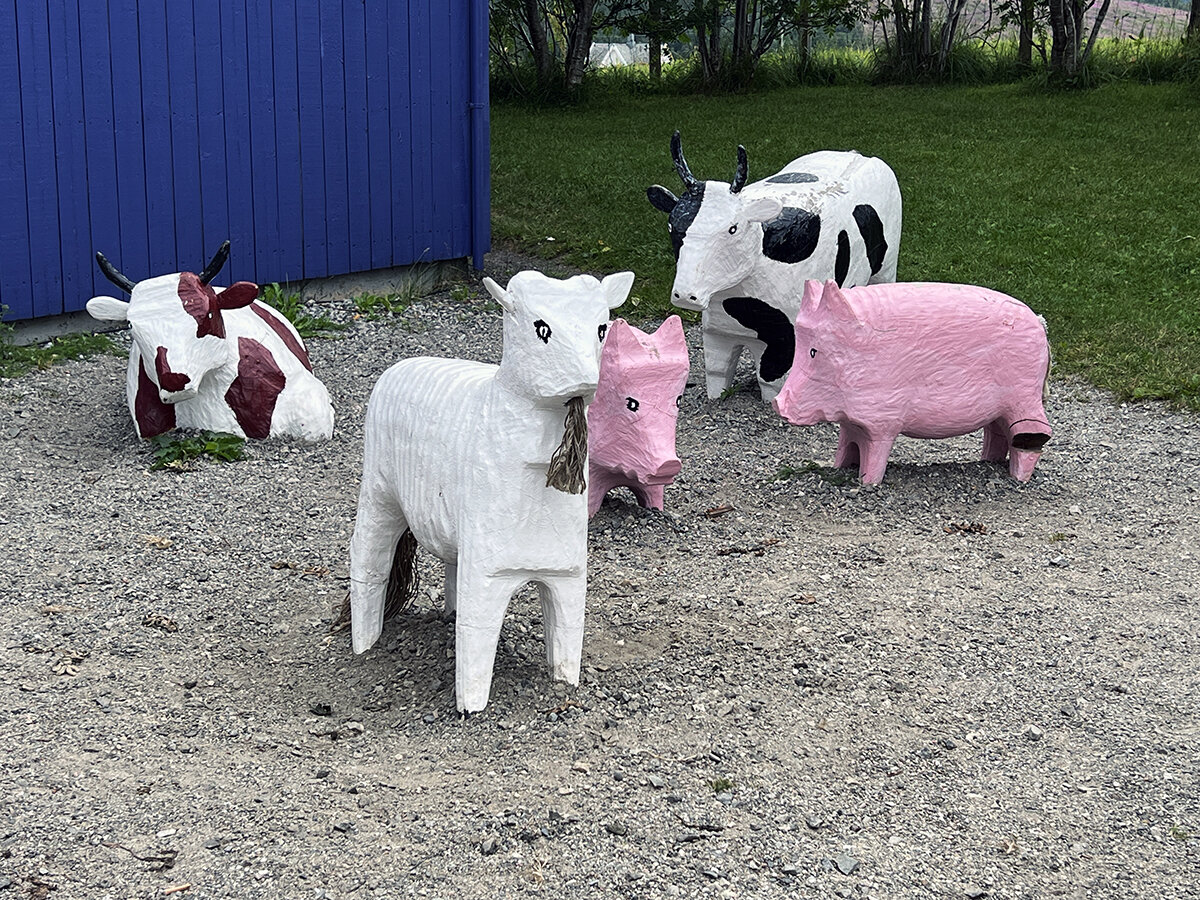 Задний двор музея Викингов. Фото автора. Листайте галерею 
